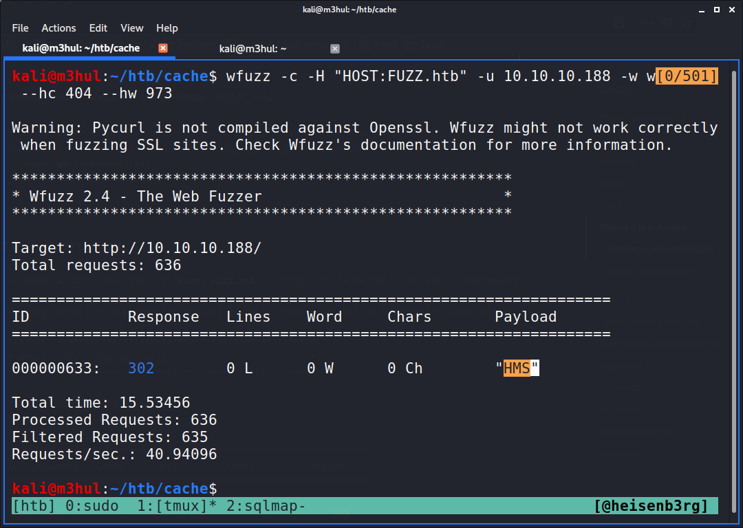 domain fuzzing